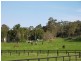 Calga NSW 2250