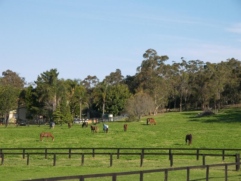 Calga NSW 2250