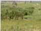 Lot 3 Brianderry Road BEGA 2550, Bega NSW 2550