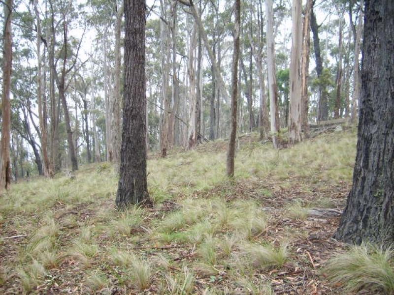 Lot 14-220 Moreings Road CANDELO 2550, Candelo NSW 2550