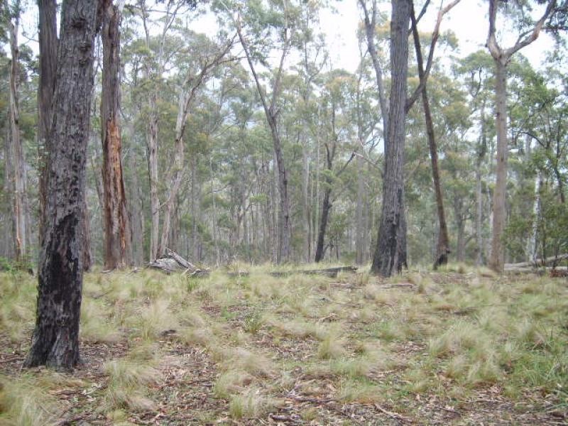 Lot 14-220 Moreings Road CANDELO 2550, Candelo NSW 2550