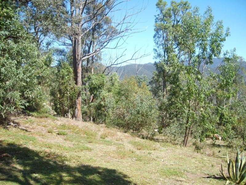 1642 Upper Brogo Road BROGO 2550, Brogo NSW 2550