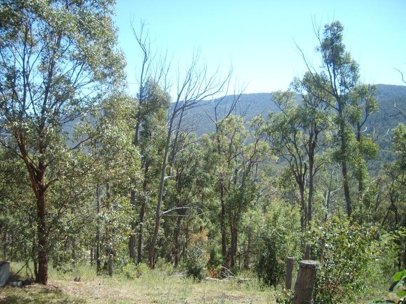 1642 Upper Brogo Road BROGO 2550, Brogo NSW 2550