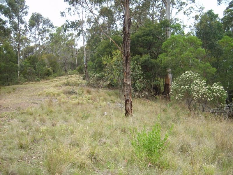 114 Vimy Ridge Road BEGA 2550, Bega NSW 2550