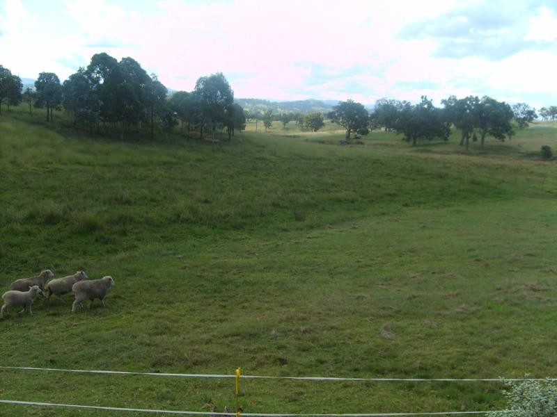 Lot 19 Max Slater Drive BEGA 2550, Bega NSW 2550