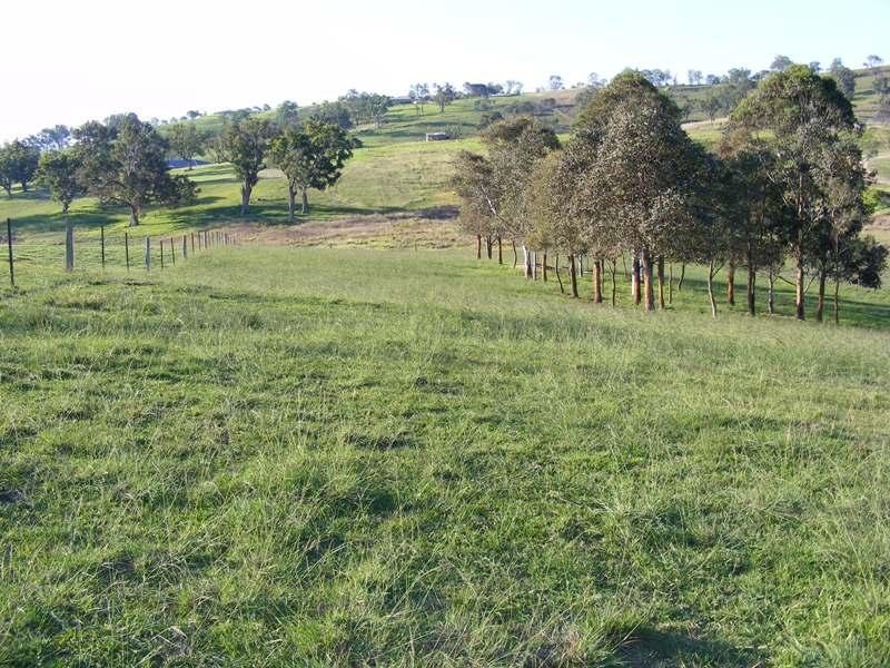 Lot 19 Max Slater Drive BEGA 2550, Bega NSW 2550