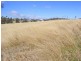 Lot 14 Max Slater  Drive BEGA 2550, Bega NSW 2550