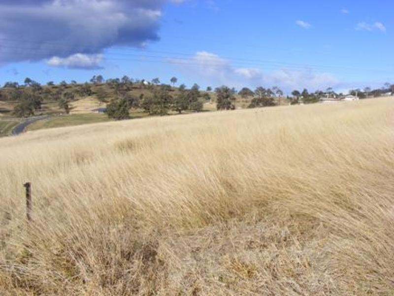 Lot 14 Max Slater  Drive BEGA 2550, Bega NSW 2550