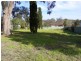 19 Dandar Road BEGA 2550, Bega NSW 2550