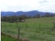 52 Robertson Street BEMBOKA 2550, Bemboka NSW 2550
