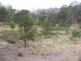 1501 Myrtle Mountain Road CANDELO 2550, Candelo NSW 2550