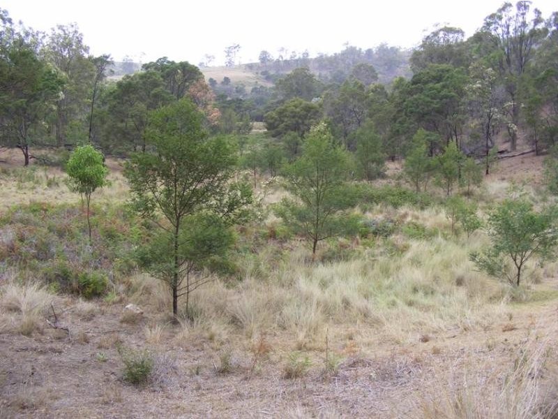 1501 Myrtle Mountain Road CANDELO 2550, Candelo NSW 2550