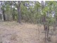 1501 Myrtle Mountain Road CANDELO 2550, Candelo NSW 2550