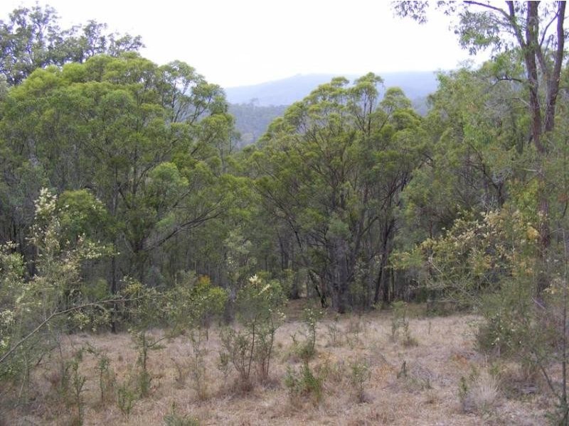1501 Myrtle Mountain Road CANDELO 2550, Candelo NSW 2550
