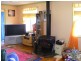119 Kisimul Road BEGA 2550, Bega NSW 2550
