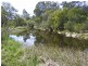 613 Tantawangalo Lane CANDELO 2550, Candelo NSW 2550