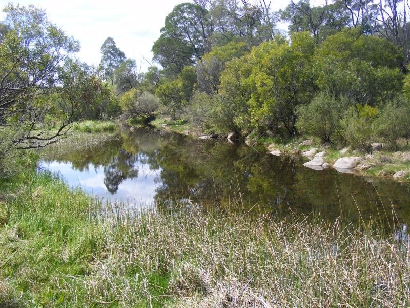 613 Tantawangalo Lane CANDELO 2550, Candelo NSW 2550