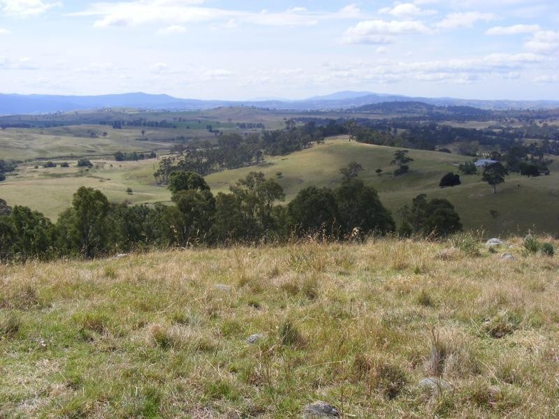 613 Tantawangalo Lane CANDELO 2550, Candelo NSW 2550