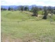 113 Geraghty Street BEMBOKA 2550, Bemboka NSW 2550