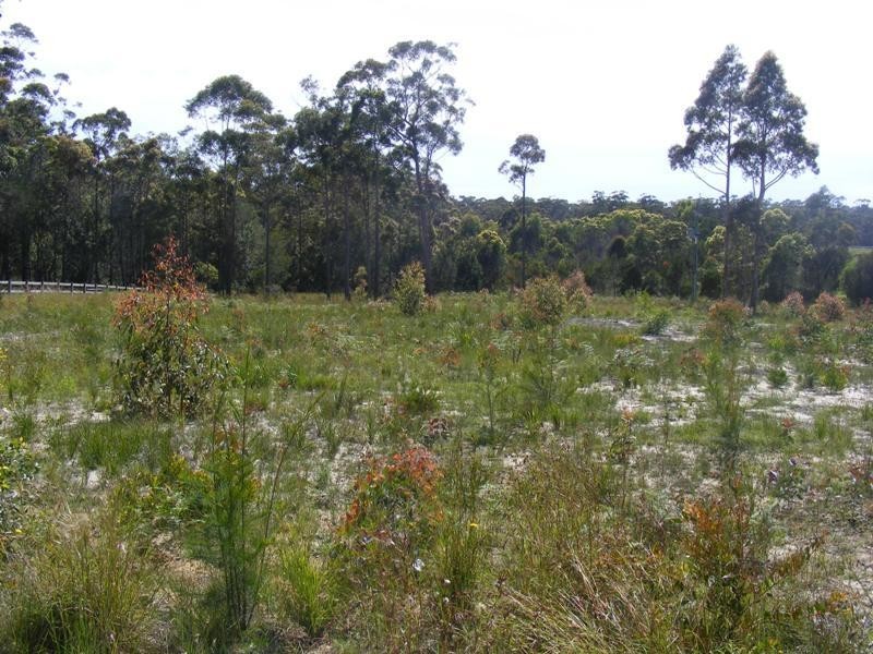 Lot 5 Shady Lane WALLAGOOT 2550, Wallagoot NSW 2550