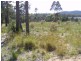 Lot 5 Shady Lane WALLAGOOT 2550, Wallagoot NSW 2550