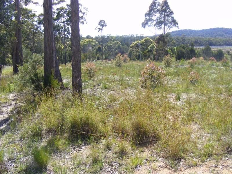 Lot 5 Shady Lane WALLAGOOT 2550, Wallagoot NSW 2550
