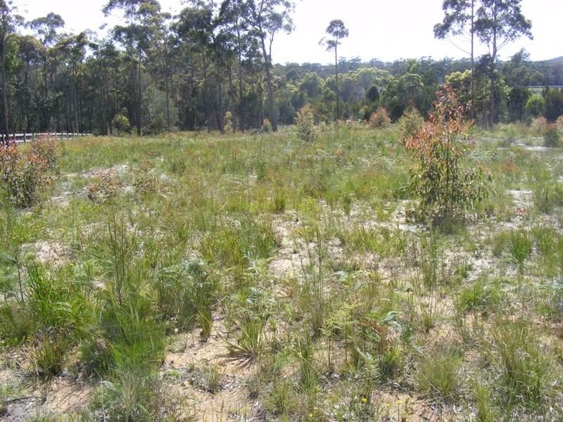 Lot 5 Shady Lane WALLAGOOT 2550, Wallagoot NSW 2550