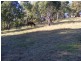 259 Black Range Road BEGA 2550, Bega NSW 2550