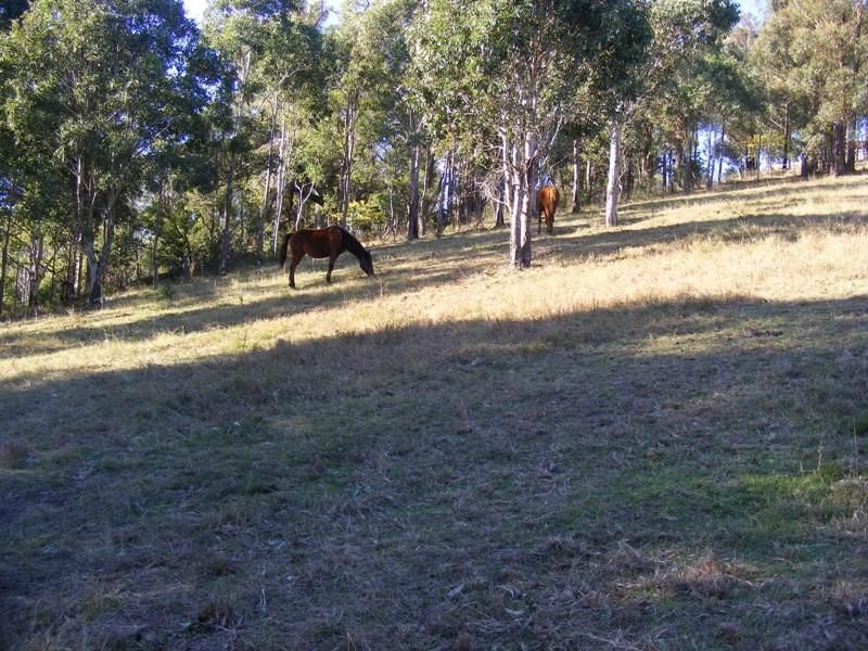 259 Black Range Road BEGA 2550, Bega NSW 2550