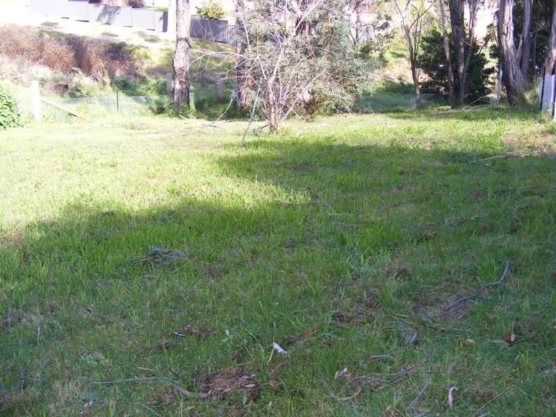 Lot 1 Bega Street WOLUMLA 2550, Wolumla NSW 2550