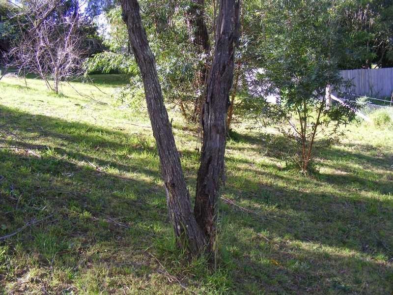 Lot 1 Bega Street WOLUMLA 2550, Wolumla NSW 2550
