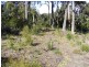 Lot 12 Emerald Crescent WALLAGOOT 2550, Wallagoot NSW 2550