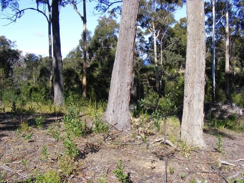 Lot 12 Emerald Crescent WALLAGOOT 2550, Wallagoot NSW 2550