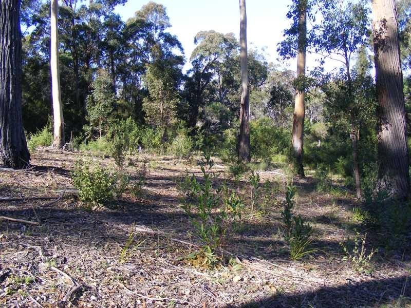 Lot 12 Emerald Crescent WALLAGOOT 2550, Wallagoot NSW 2550