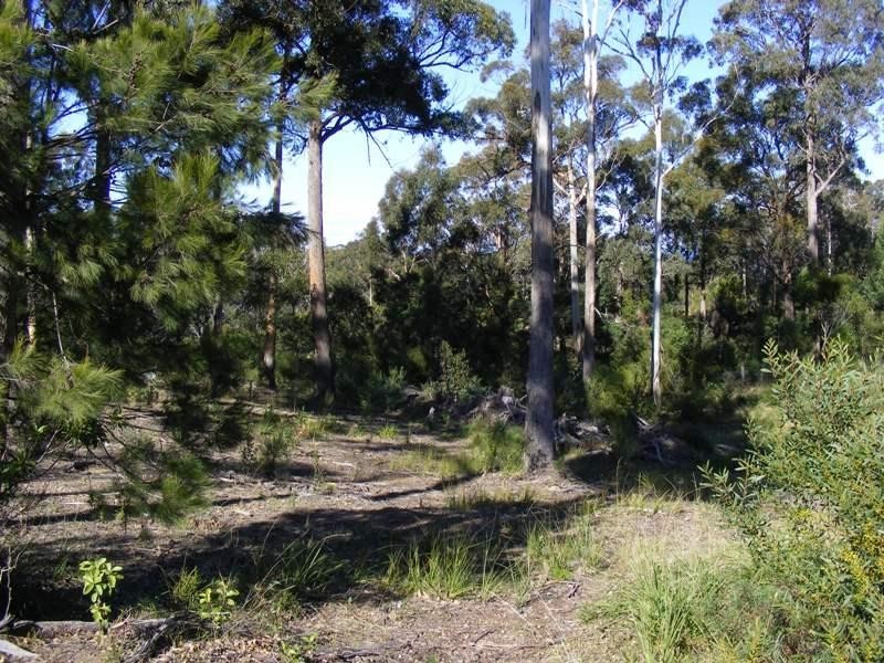 Lot 12 Emerald Crescent WALLAGOOT 2550, Wallagoot NSW 2550