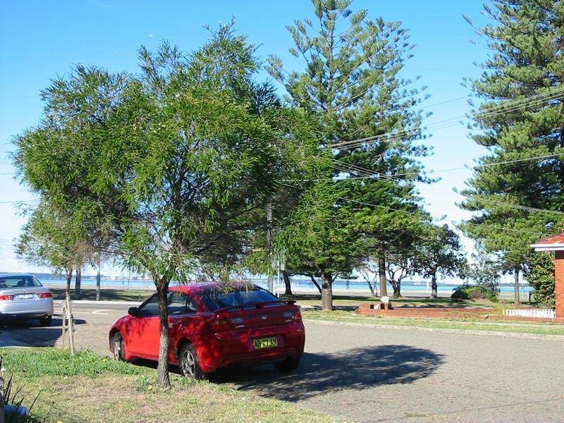 3 Culver  Street MONTEREY 2217, Monterey NSW 2217