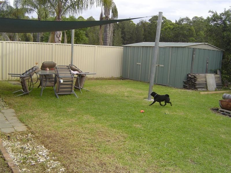 67 Foxwood Avenue, Quakers Hill NSW 2763