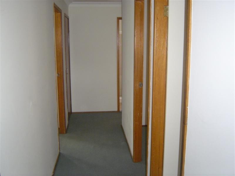 14 Peel Street, Quakers Hill NSW 2763