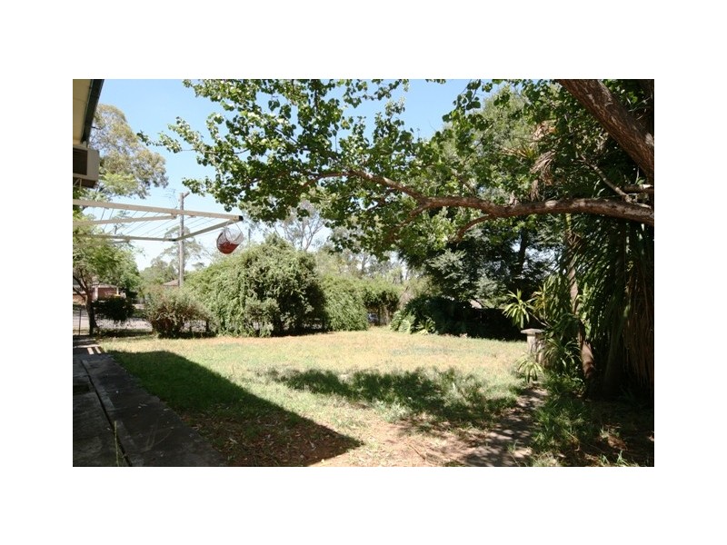 66 Solander Road, Seven Hills NSW 2147