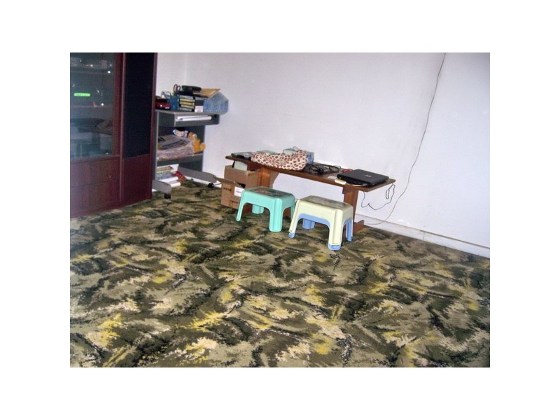 28 Yillowra St, Auburn NSW 2144