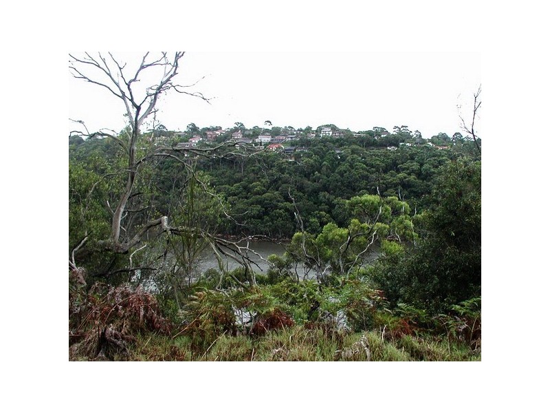 40 Willowie Road, Castle Cove NSW 2069