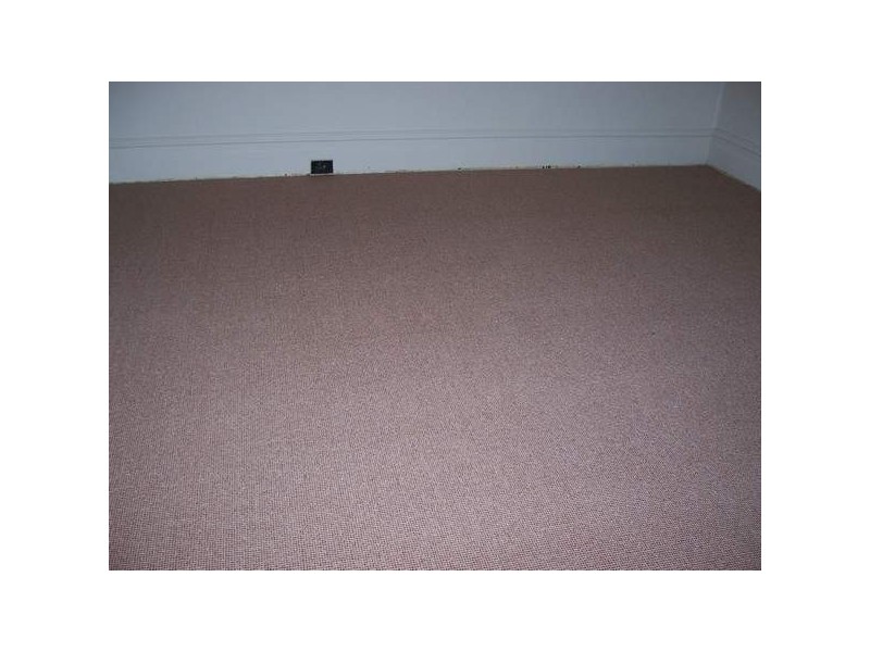 24 Lily St, Auburn NSW 2144