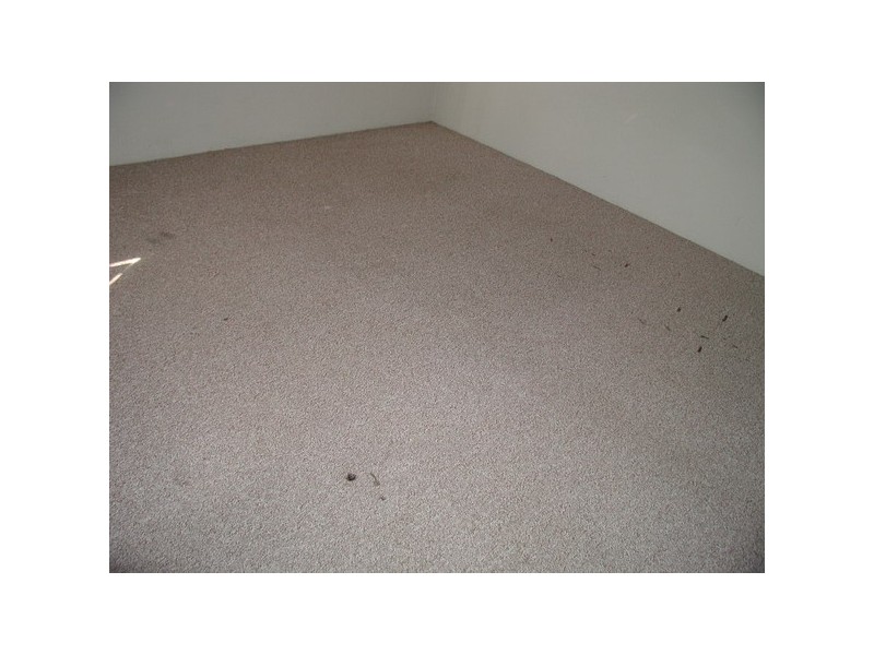 4/64 Station Rd, Auburn NSW 2144