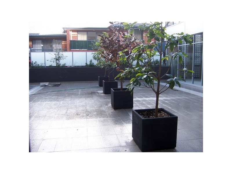 Level 1 21/ 1-5 Harrow Road, Auburn NSW 2144