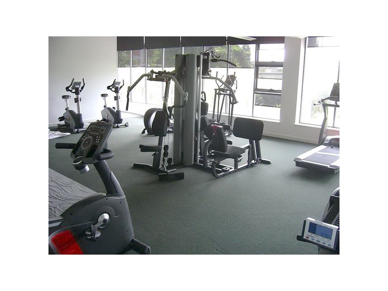 8 Cowper Street, Parramatta NSW 2150