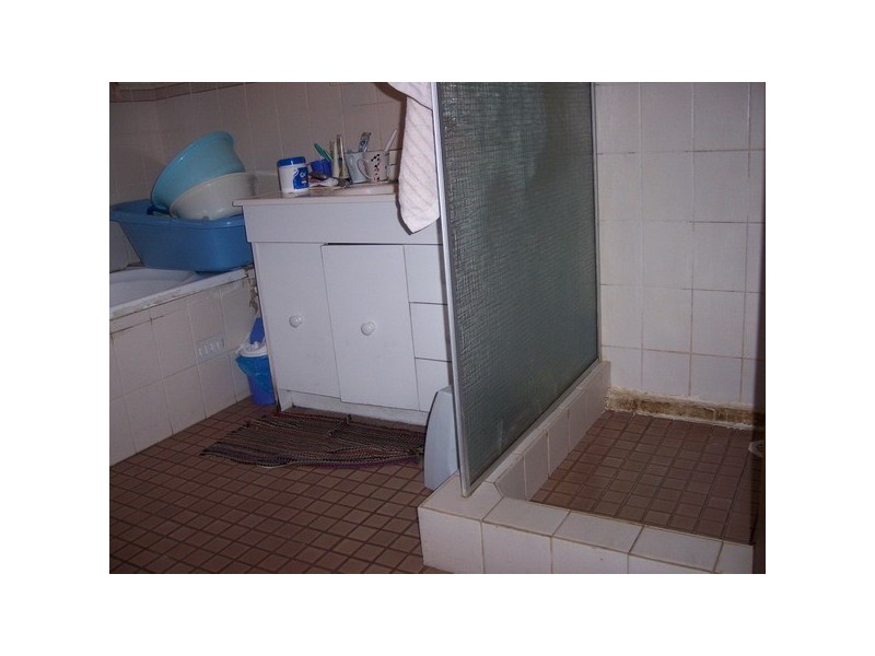 29 Elsham Road, Auburn NSW 2144