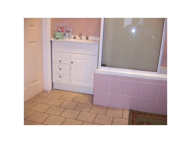 33 Mona St, Auburn NSW 2144