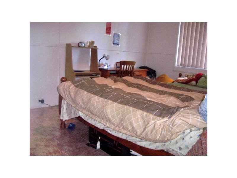 33 Mona St, Auburn NSW 2144