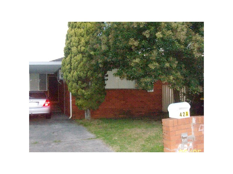 42A Mary Street, Auburn NSW 2144