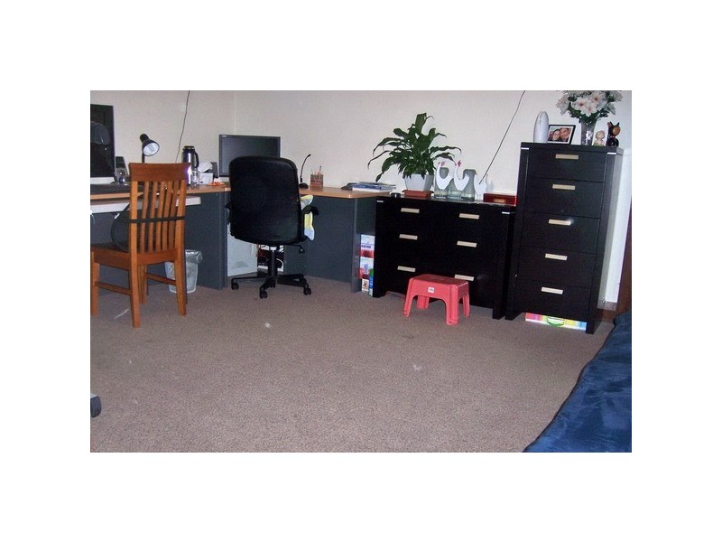 1,2,3/5 Braemar Ave, Auburn NSW 2144